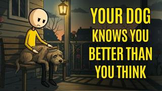 What Your Dog Says About You (Psychology Explains)