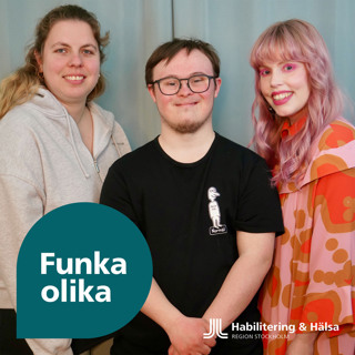 Vänskap och intellektuell funktionsnedsättning