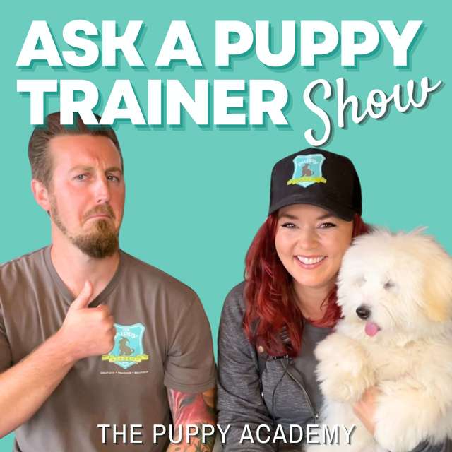 Ask A Puppy Trainer Show