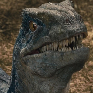Jurassic World 3 | #35