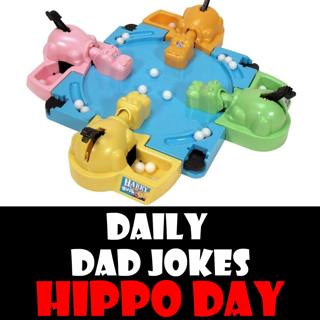 World Hippo Day! Heavy dad jokes! 15 February 2025