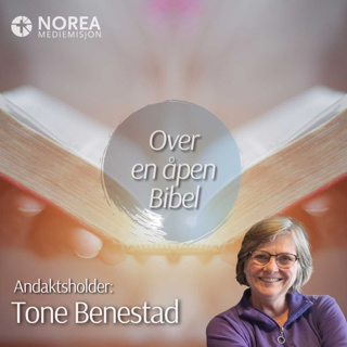 E2532 -5-Tone Benestad - Tillitssalmer