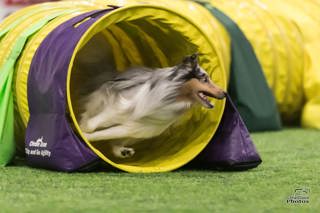 272: All About the Tunnel - Part 2