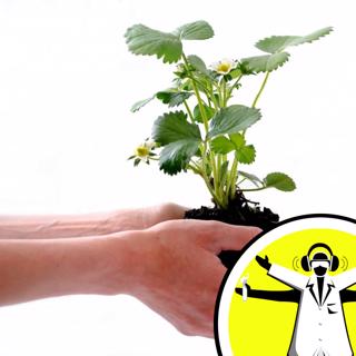 Dishing the Dirt on our Soils