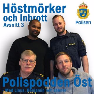3. Höstmörker och inbrott