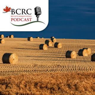 Episode 127: From Field to Feed: Six Things to Think About When Storing Hay
