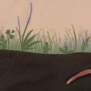 Worm munch matters