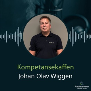 Johan Olav Wiggen – Markedssjef i Møller Bil Orkdal
