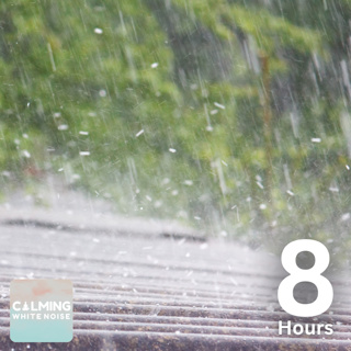 Heavy Rain on Tin Roof | Relaxing Rain Sounds for Deep Sleep, Focus, & Stress Relief (8 Hours)