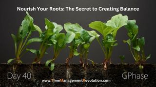 Nourish Your Roots - The Secret to Creating Work-Life Balance