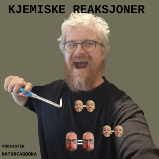 Kjemiske reaksjoner
