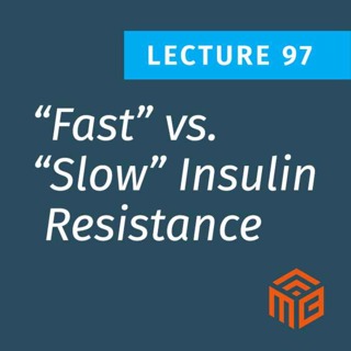 “Fast” vs. “Slow” Insulin Resistance: The Two Paths Explained
