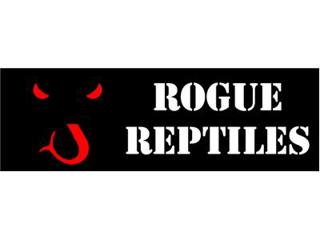 Introducing Morelia python radio's new co-host.
