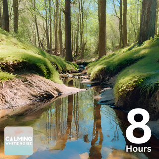 🍃 Forest Stream Sounds (8 Hours) | Sleep Instantly with Water Sounds