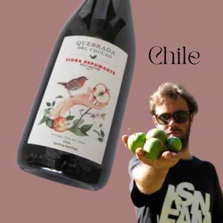 040 Diego Rivera | Quebrada del Chucao, Chile
