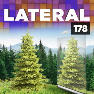 178: The woodland mirror