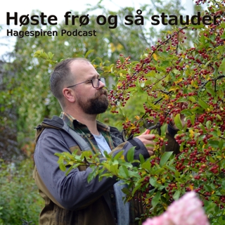 39/23: Høste frø og så stauder med Tommy Tønsberg