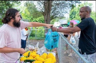 Starting a Farmer's Market