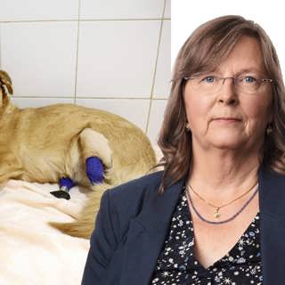 Mmm som i Moskva: Maria Persson Löfgren, Moskva