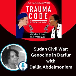 Sudan Civil War & Genocide in Darfur with Dallia Abdelmoniem