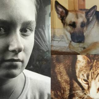 Djuren räddade Elise: "Människor är hemska"