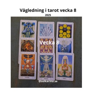 53: Vägledning vecka 8 med tarotkorten