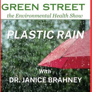 Green Street - Janice Brahney podcast