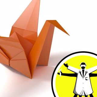 Know When to Fold 'Em: Origami Science