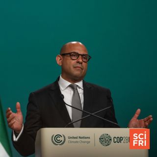 COP28 Climate Conference Ends | Why Are Some People Affected By Seasonal Affective Disorder?