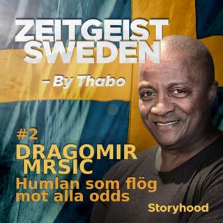#2 Dragomir Mrsic : humlan som flög mot alla odds