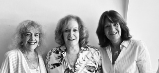 Susana Kuras Mauer, Sara Moscona, Silvia Resnizky - Psychoanalytic Work with Families and Couples.