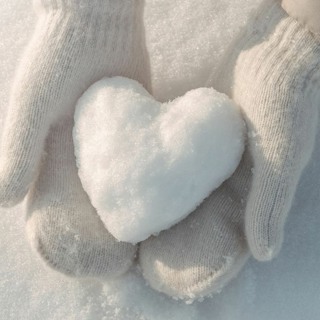 Best of Awake in the World: The Way Seeking Heart