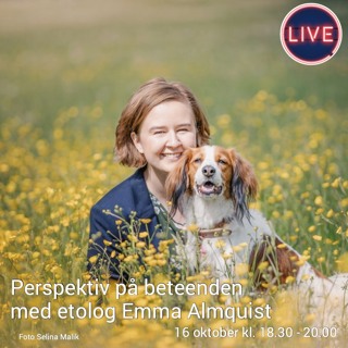 Inför "Perspektiv på beteenden" med Emma Almquist 16 oktober
