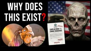 WTF is Up with the U.S. Military Having a Plan for Countering a Zombie Apocalypse?