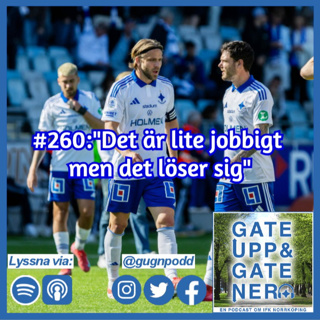#260:"Det är lite jobbigt men det löser sig!"