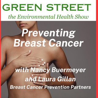 Breast Cancer Prevention