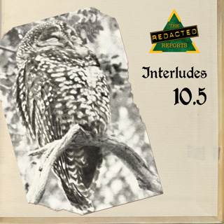 Interludes 10.5