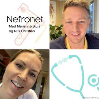 Nefronet