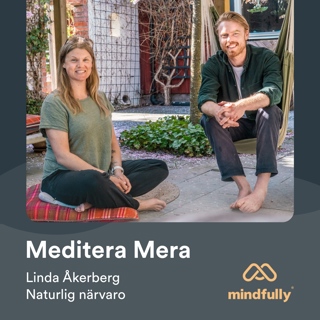 Linda Åkerberg - Om naturlig närvaro