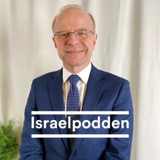10. Raoul Wallenberg och politiken