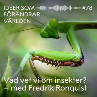 Vad vet vi om insekter? – med Fredrik Ronquist
