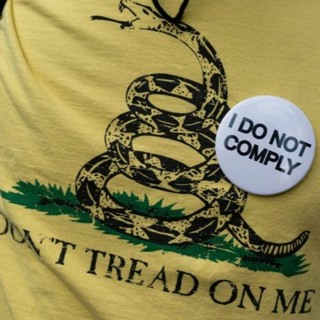 Don't Tread on Me license plate sparks debate over flag ties, meaning