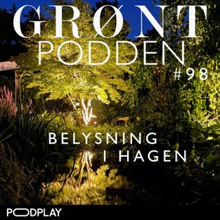 #98 Belysning i hagen