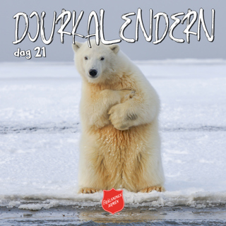 DJURKALENDERN DAG 21: Om att ha isbjörnar runt hörnet
