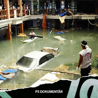 Tsunamikatastrofen 2004