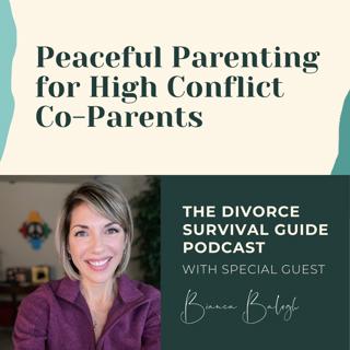 Episode 125: Peaceful Parenting for High Conflict Co-Parents with Bianca Balogh