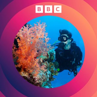 Can we save the world's coral?