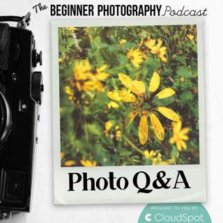 Photo Q&A: Why Do My Photos Look Different on My Camera vs. Lightroom?