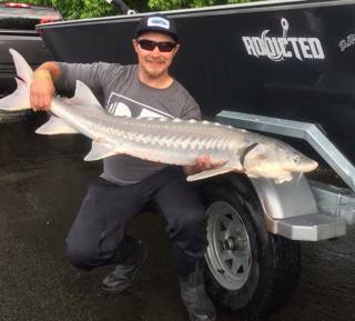Tiger Muskie, Columbia Sturgeon, Shad and Waiting for Alaska!