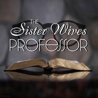 Sister Wives 6.15 - While the Wives are Away